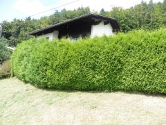 projekte-007-hecke-vorher.jpg